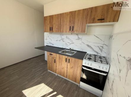 Pronájem bytu, 2+1, 55 m²