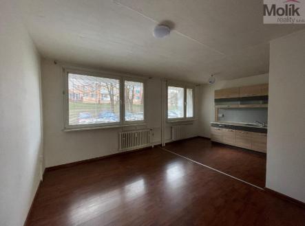 Pronájem bytu, 3+1, 55 m²