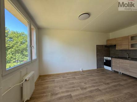 Pronájem bytu, 3+1, 69 m²