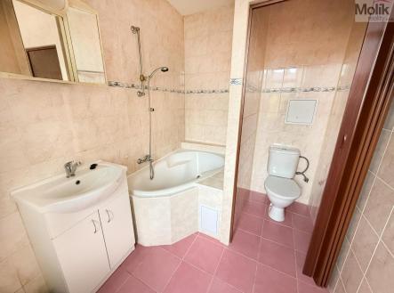 Pronájem bytu, 2+1, 65 m²