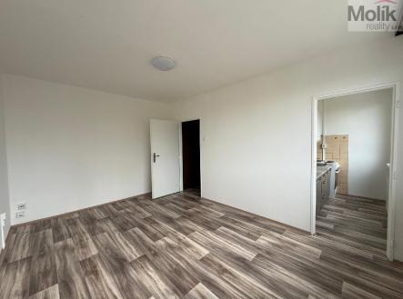 Pronájem bytu, 1+kk, 27 m²