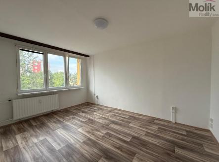 Pronájem bytu, 1+kk, 27 m²
