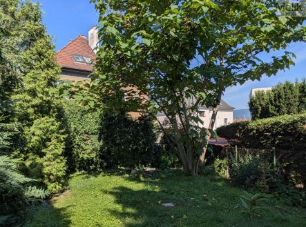 Pronájem bytu, 2+kk, 53 m²