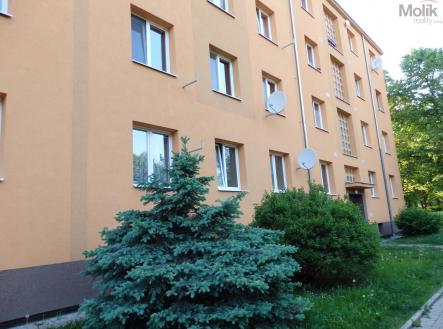 Pronájem bytu, 3+1, 63 m²
