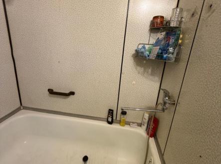 Prodej bytu, 1+1, 41 m²