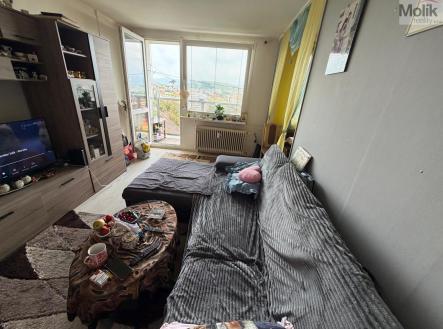 Prodej bytu, 1+1, 41 m² obrázek