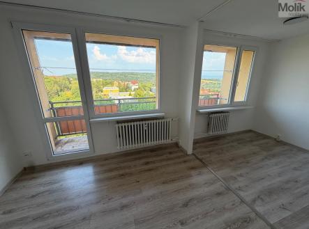 Prodej bytu, 2+1, 48 m²