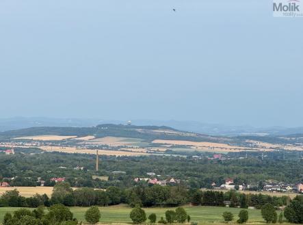 IMG_5974.jpg
