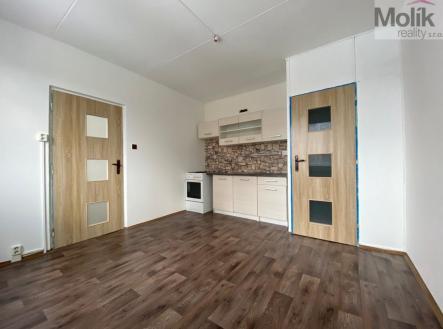 Pronájem bytu, 1+1, 38 m²