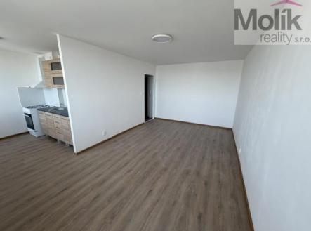 Pronájem bytu, 1+kk, 35 m²