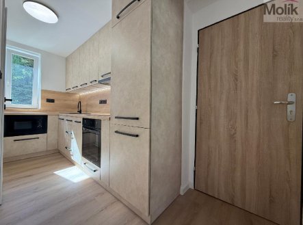 Prodej bytu 3 + 1 s balkónem, ul. Okružní, Meziboří u Litvínova, 60 m2