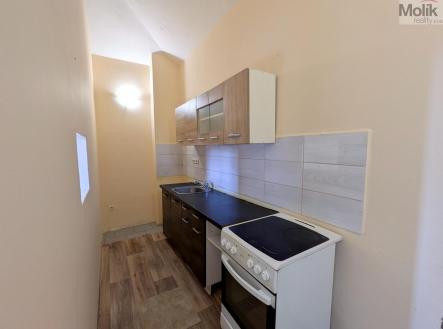 Pronájem bytu, 1+1, 42 m²
