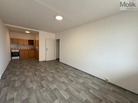 Pronájem bytu, 2+kk, 48 m²