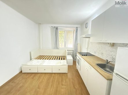 Pronájem bytu, 1+kk, 22 m², Most – náhled fotky 2