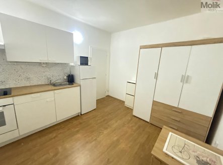 Pronájem bytu, 1+kk, 22 m², Most – náhled fotky 4