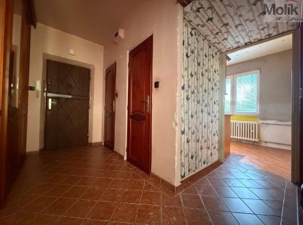 Prodej bytu, 2+1, 56 m², Bílina – náhled fotky 4