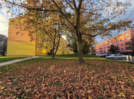 Prodej bytu, 2+1, 56 m²