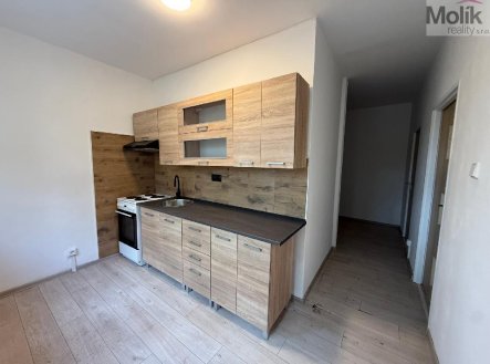 Pronájem bytu, 2+1, 55 m², Bílina – fotka 1 z 4
