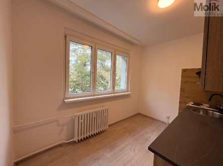 Pronájem bytu, 2+1, 55 m², Bílina – náhled fotky 2