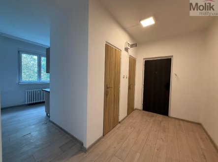 Pronájem bytu, 2+1, 55 m², Bílina – náhled fotky 3