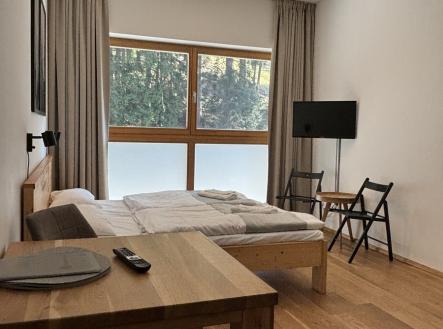 Prodej bytu, 1+kk, 32 m²