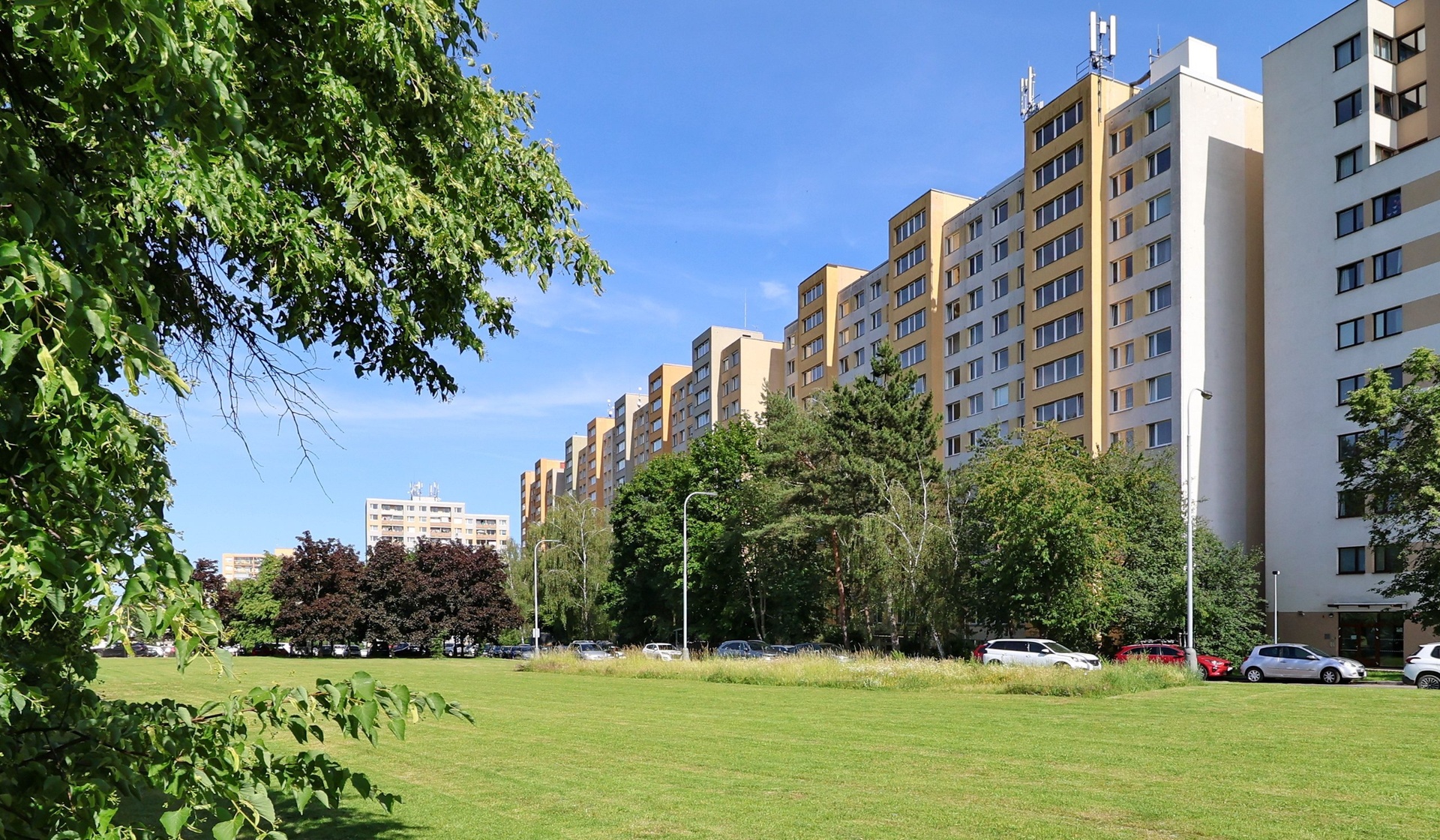 010_Zdim