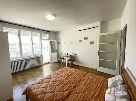 Pronájem bytu, 1+1, 29 m²