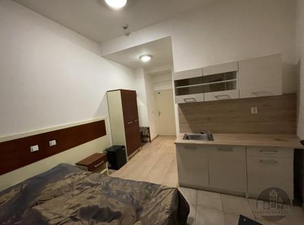Pronájem bytu, 1+kk, 19 m²