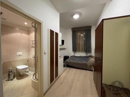 Pronájem bytu, 1+kk, 19 m²