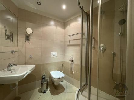 Pronájem bytu, 1+kk, 19 m²