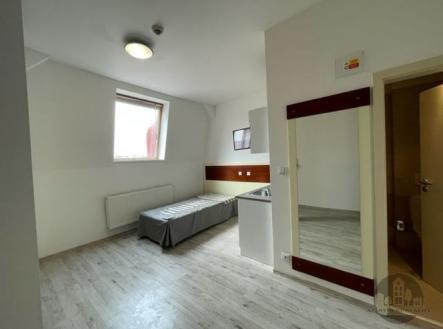 Pronájem bytu, 1+kk, 24 m²