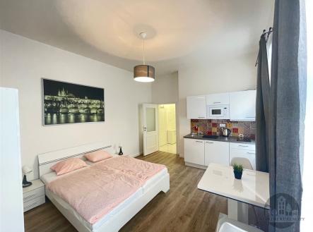 Pronájem bytu, 1+kk, 24 m²