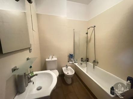 Pronájem bytu, garsoniéra, 13 m²