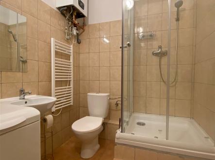 Pronájem bytu, atypický, 47 m²