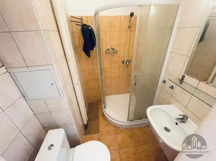 Pronájem bytu, 1+kk, 30 m²
