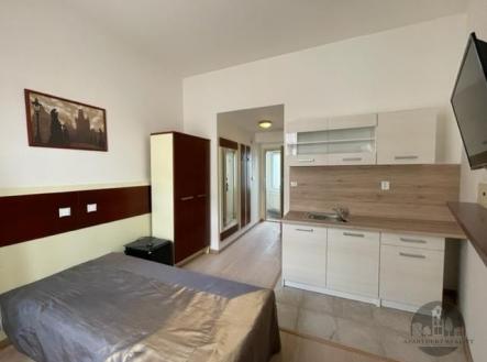 Pronájem bytu, 1+kk, 16 m²