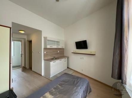 Pronájem bytu, 1+kk, 16 m²