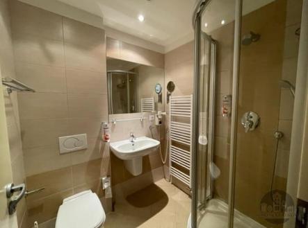 Pronájem bytu, 1+kk, 16 m²