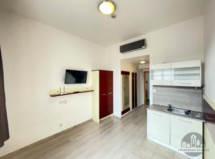 Pronájem bytu, 1+kk, 16 m²