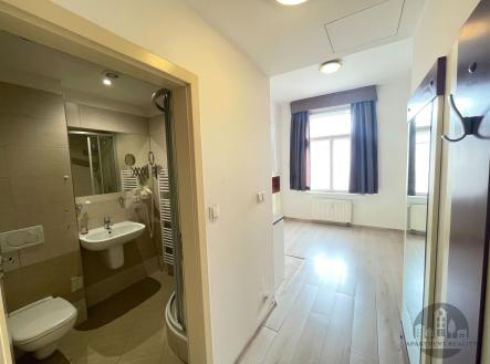 Pronájem bytu, 1+kk, 16 m²