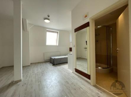 Pronájem bytu, 1+kk, 24 m²