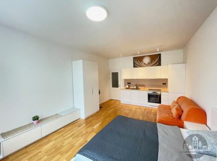 Pronájem bytu, 1+kk, 34 m²