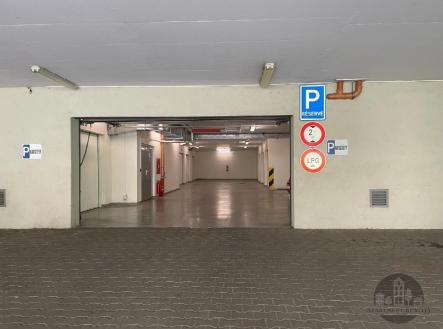Pronájem