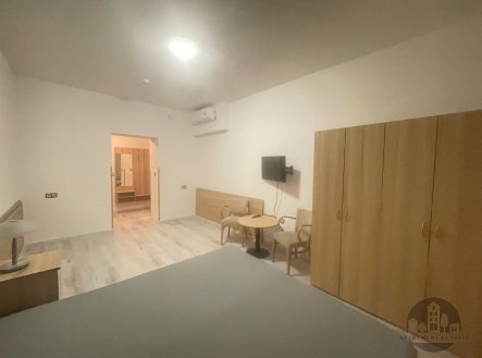 Pronájem bytu, garsoniéra, 25 m²