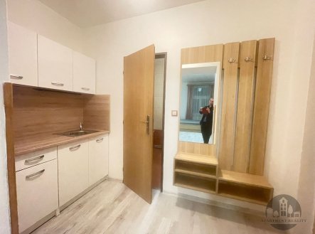 Pronájem bytu, garsoniéra, 25 m²