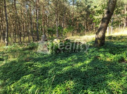 Prodej - pozemek pro bydlení, 20 m²