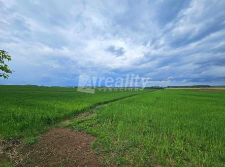 Prodej - pozemek, zemědělská půda, 31 385 m²