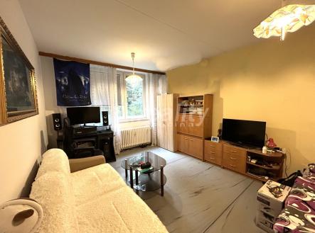 Prodej bytu, 1+1, 40 m²