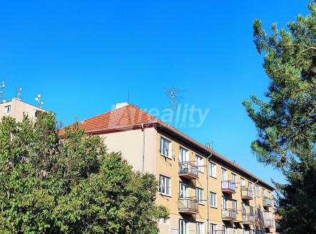 Pronájem bytu, 2+1, 54 m² obrázek