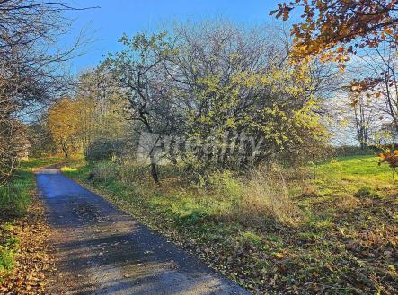 Prodej pozemku pro bydlení, 1 000 m²